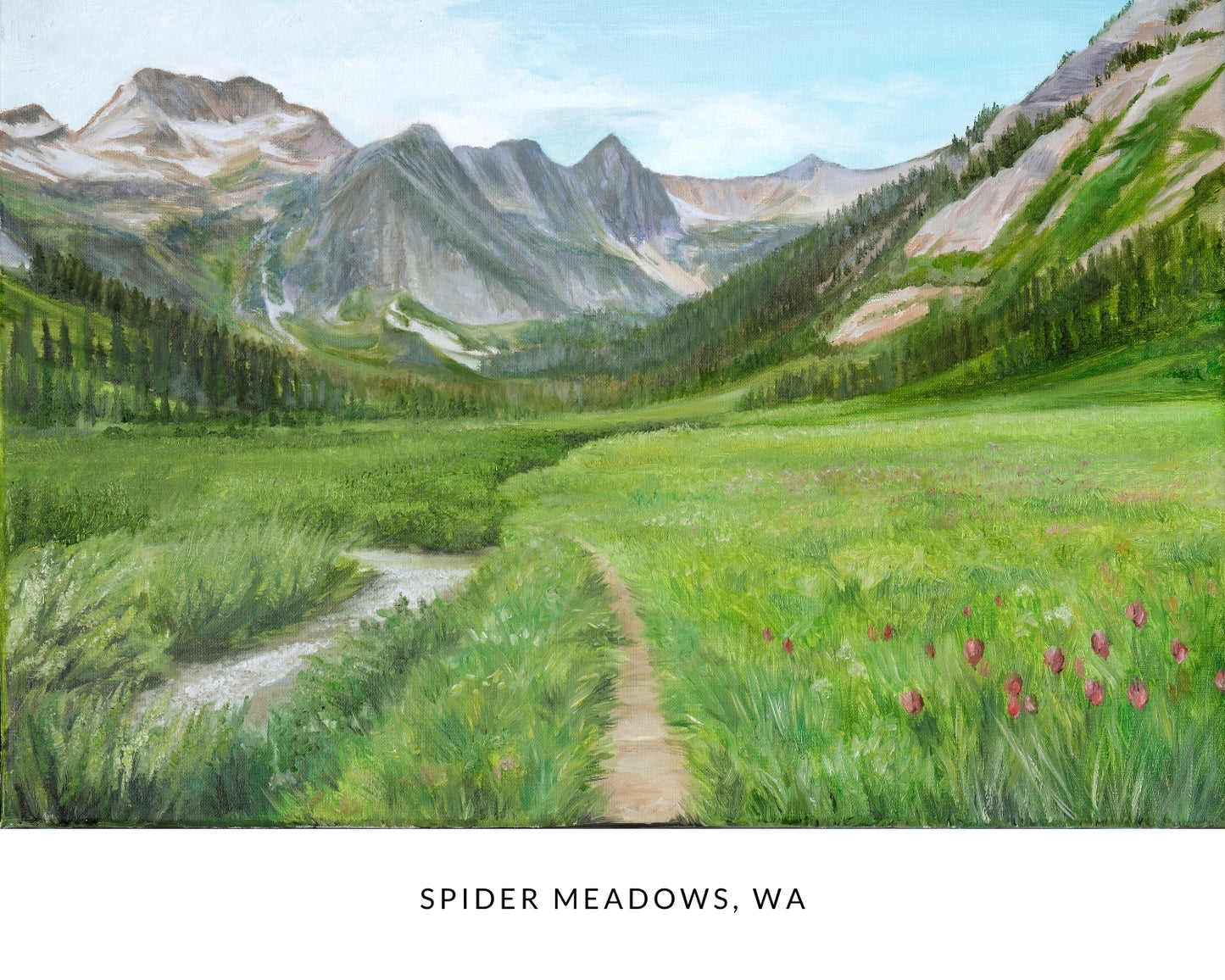 Spider Meadows Postcard